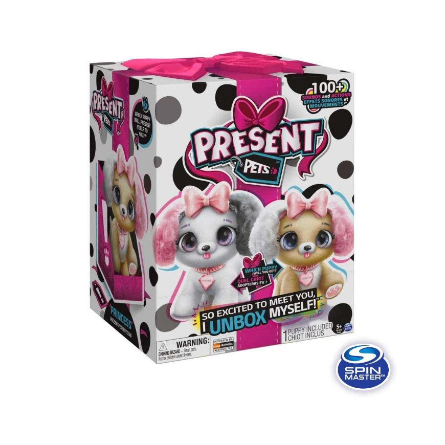 Immagine di PRESENT PET Cucciolo Fancy