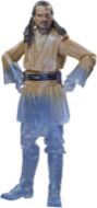 Immagine di STAR WARS SERIE NERA QUI QUO The Black Series, Qui-Gon Jinn, Action Figure ispirate alla Serie Obi-WAN Kenobi